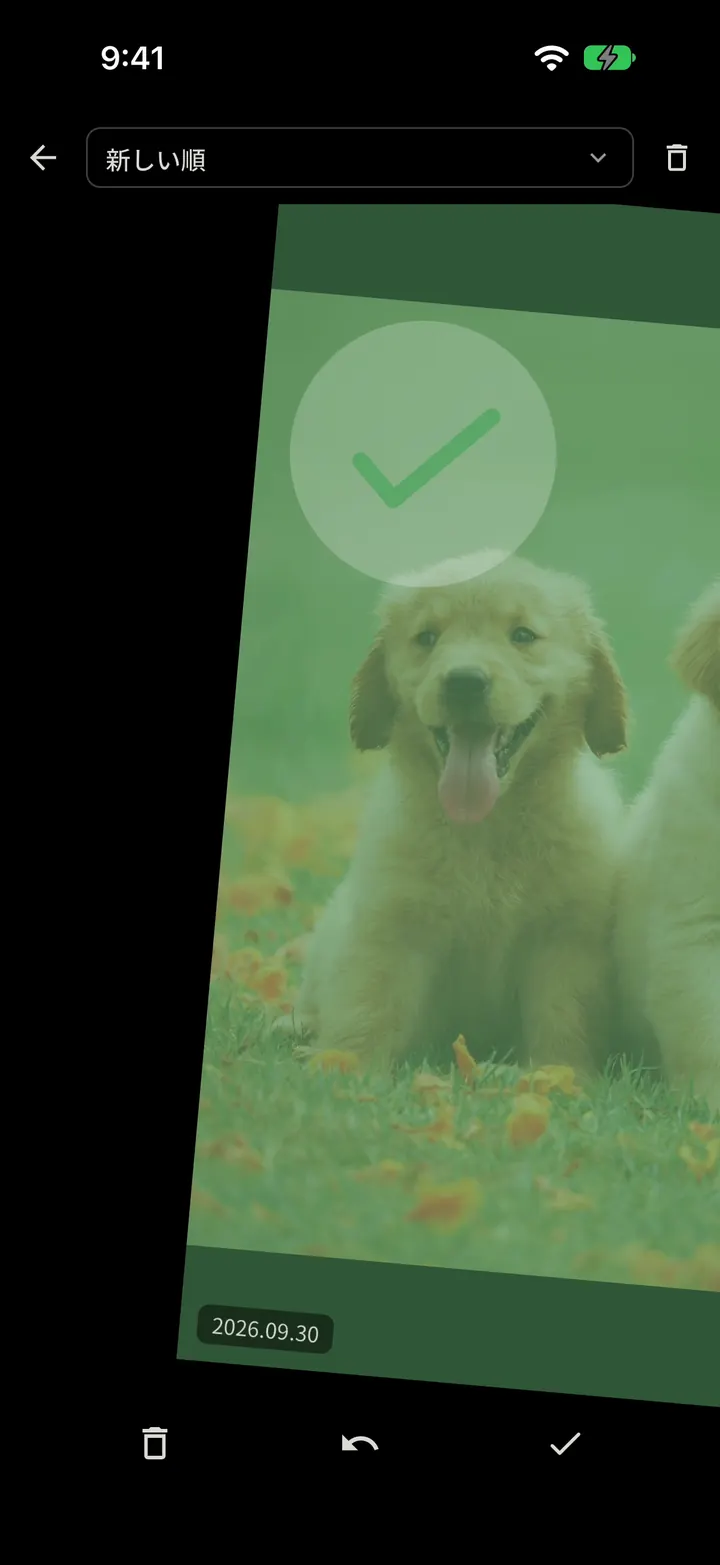 NOKO Swipeのスワイプ画面。子犬の写真を右へスワイプし、緑のチェックで「残す」が表示されている